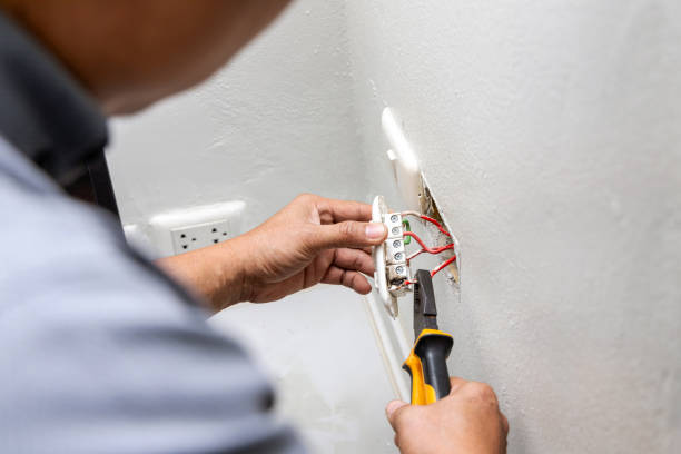 Best Industrial Electrical Services  in Onsted, MI